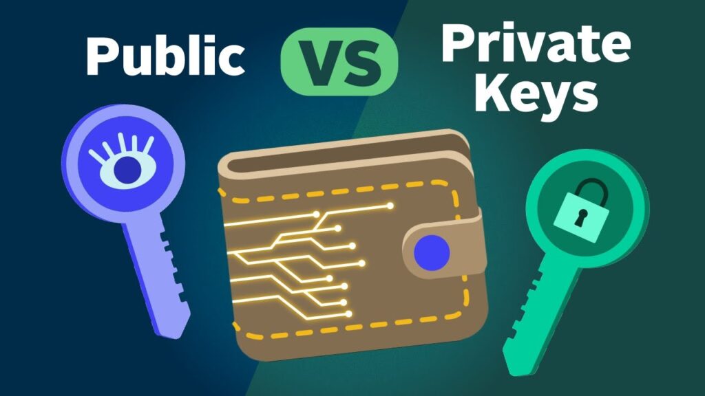 Private Key vs Public Key in Crypto