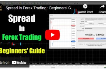 Spread In Forex Trading : Beginners’ Guide